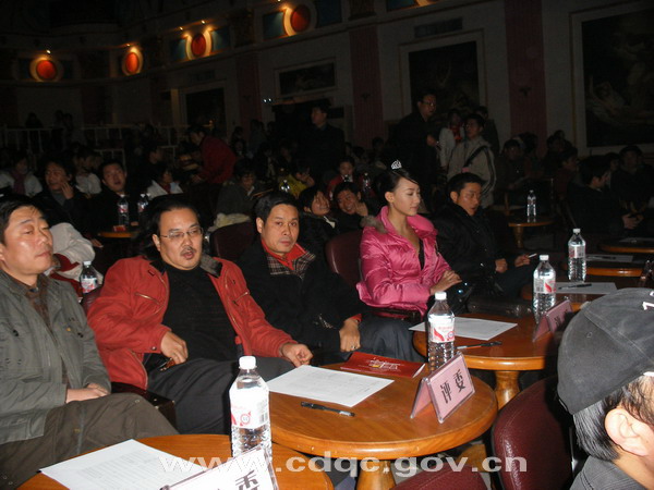 奥运车模常德赛区决赛:视觉盛宴 决战巅峰