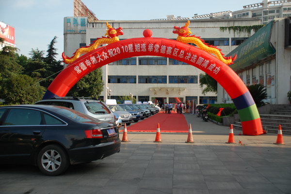 2010ǽѡٳ