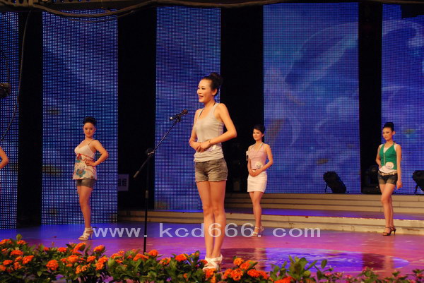 2010ǽѡٳ