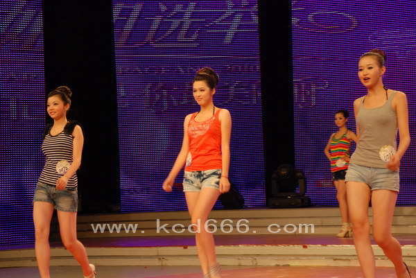 2010ǽѡٳ