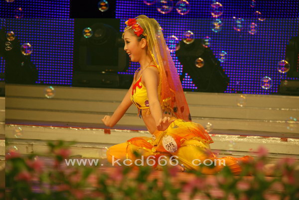 2010ǽѡٳ