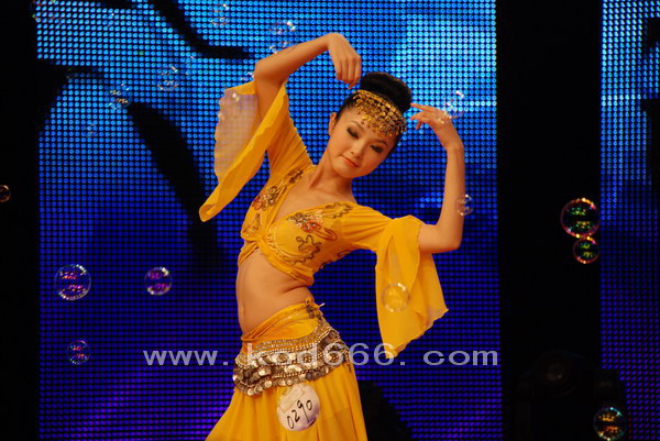 2010ǽѡٳ