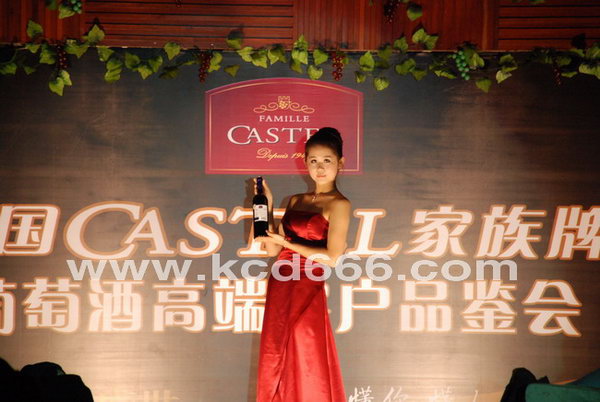 CASTELѾƳƷĹ˾ģ