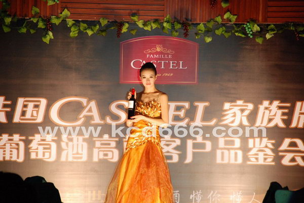 CASTELѾƳƷĹ˾ģ