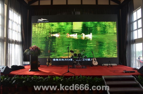 全程策划执行天利天鹅湾豪宅名车展