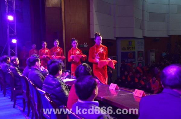 感动桃源十大人物颁奖晚会礼仪服务