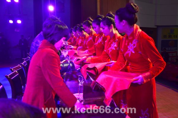感动桃源十大人物颁奖晚会礼仪服务