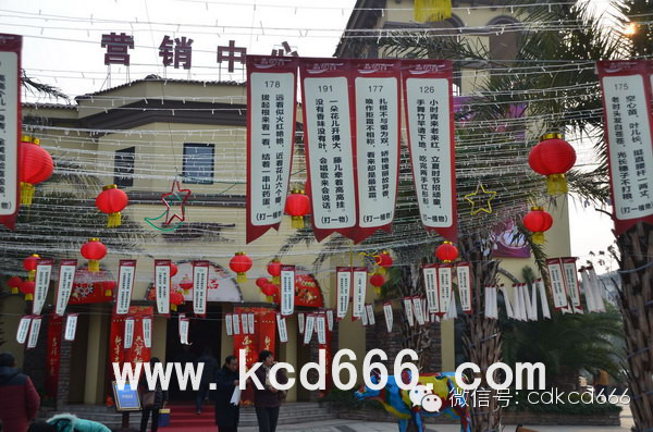三一翡翠湾元宵喜乐会