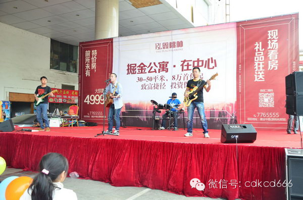 泓鑫桃林桥南市场路演