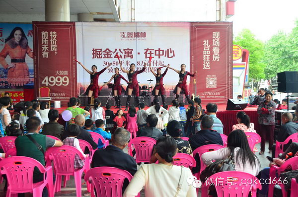 泓鑫桃林桥南市场路演