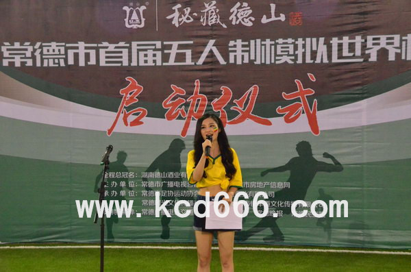 泓鑫桃林首届五人制模拟世界杯足球赛启动仪式