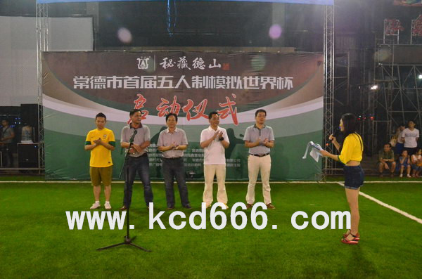 泓鑫桃林首届五人制模拟世界杯足球赛启动仪式