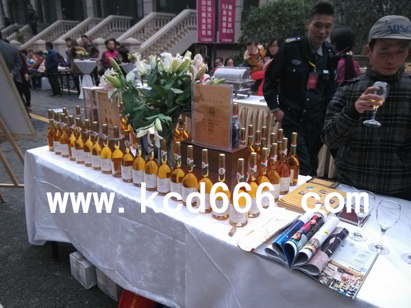 绿地世纪城品牌商家客户联谊会-激情拉斯维加斯