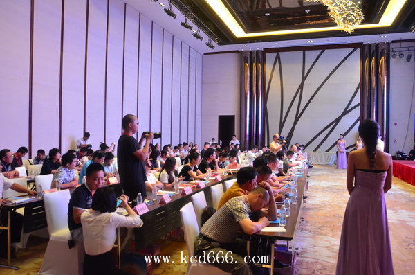 常德灯光艺术嘉年华新闻发布会
