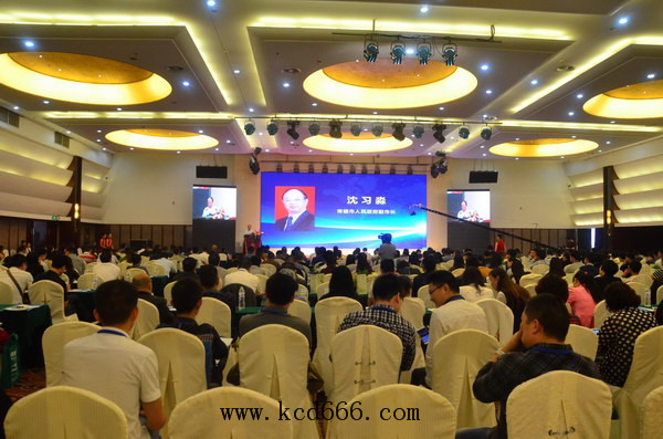 常德首届互联网+中小企业大会